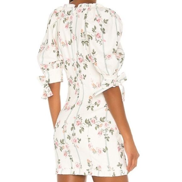 NEW! Stripes & Roses Floral Puff Sleeve Ruffle Mini Dress - Picture 7 of 11